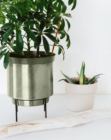 thegreen portfolio1