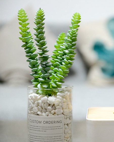 thegreen portfolio5