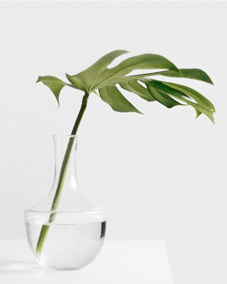 thegreen portfolio7