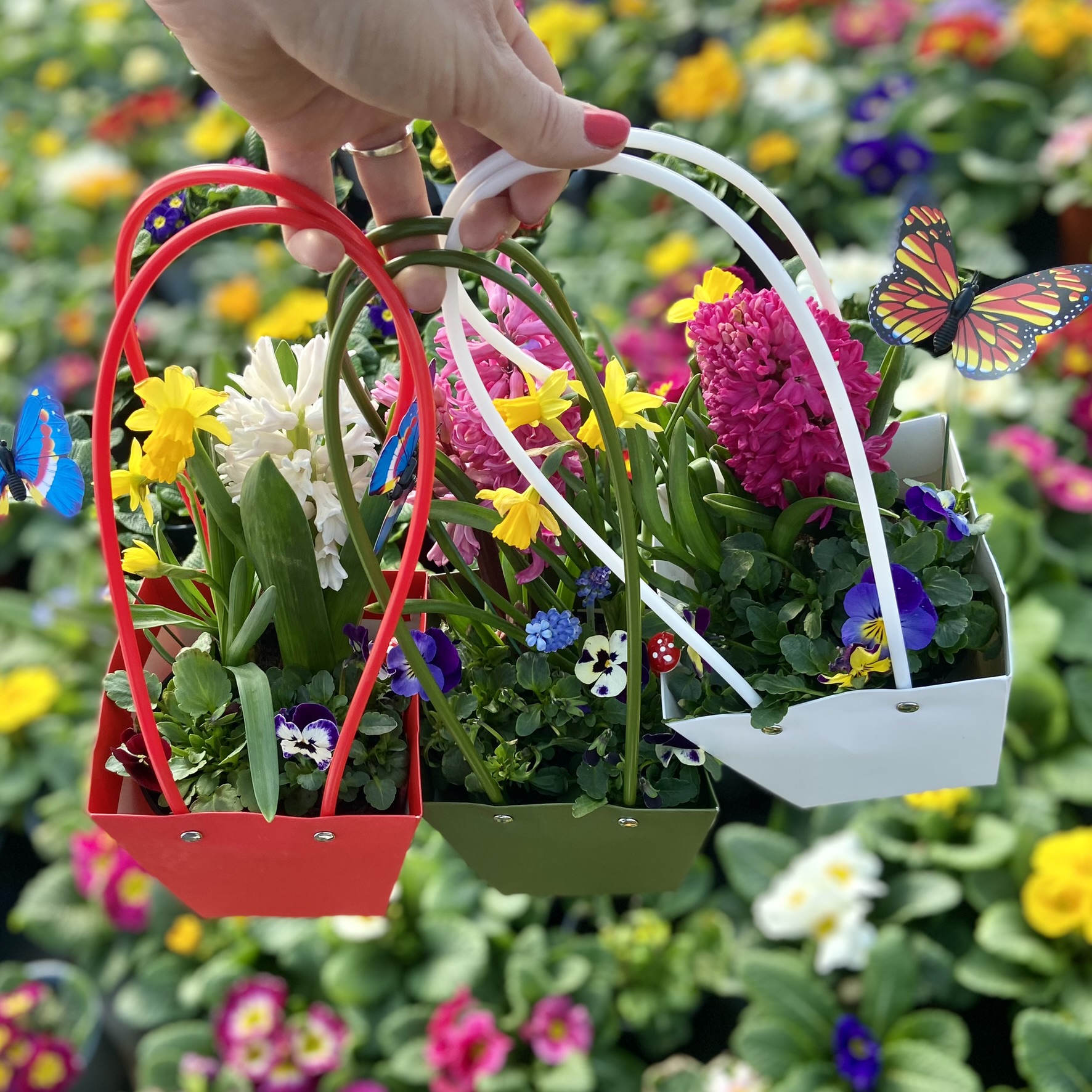 Mix flori de primavara in posetuta (4)