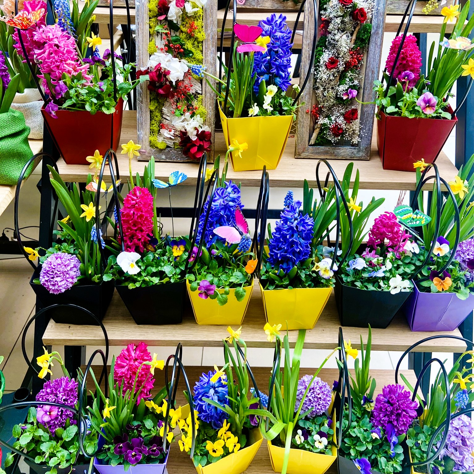 Mix flori de primavara in posetuta (5) Mix flori de primavara in posetuta (5)