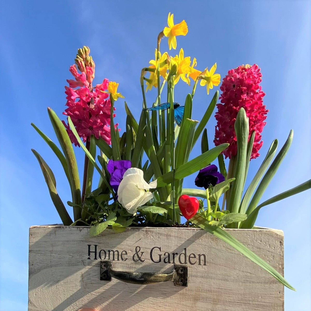 Sertar de lemn HomeGarden 3 Sertar de lemn HomeGarden 3