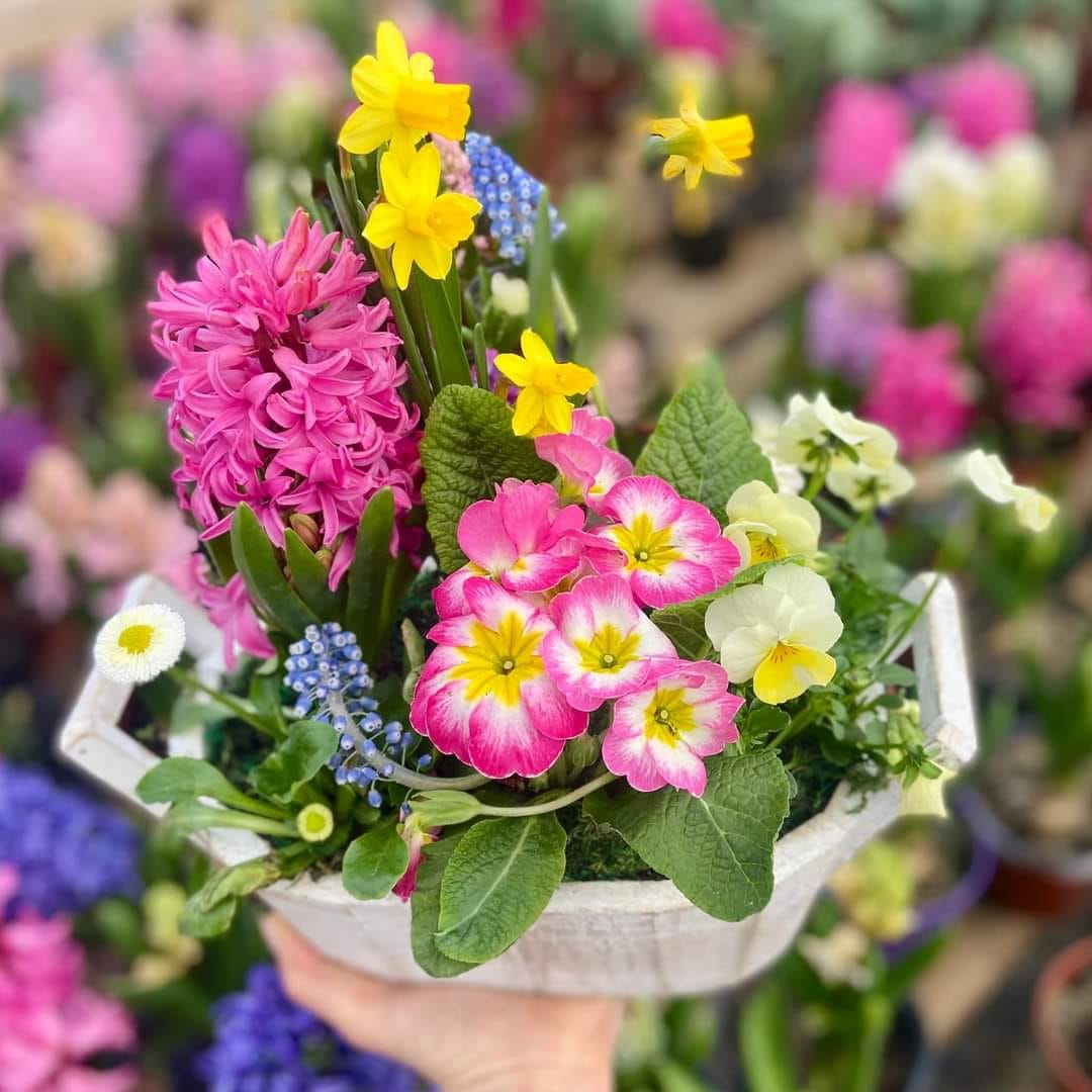 b54b570d 8bba 43cf 8c1b 3c4f3ac93ea6