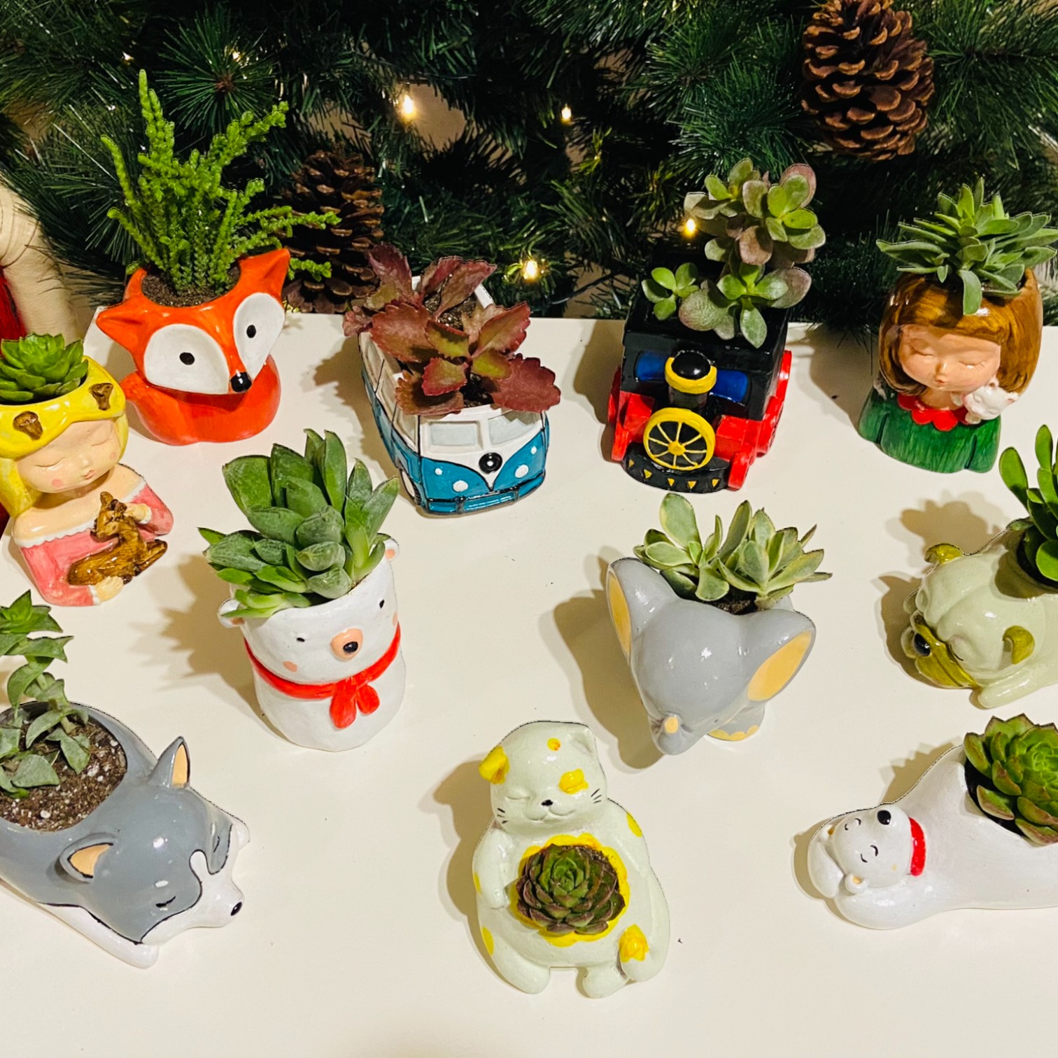 Kituri disponibile Kituri disponibile