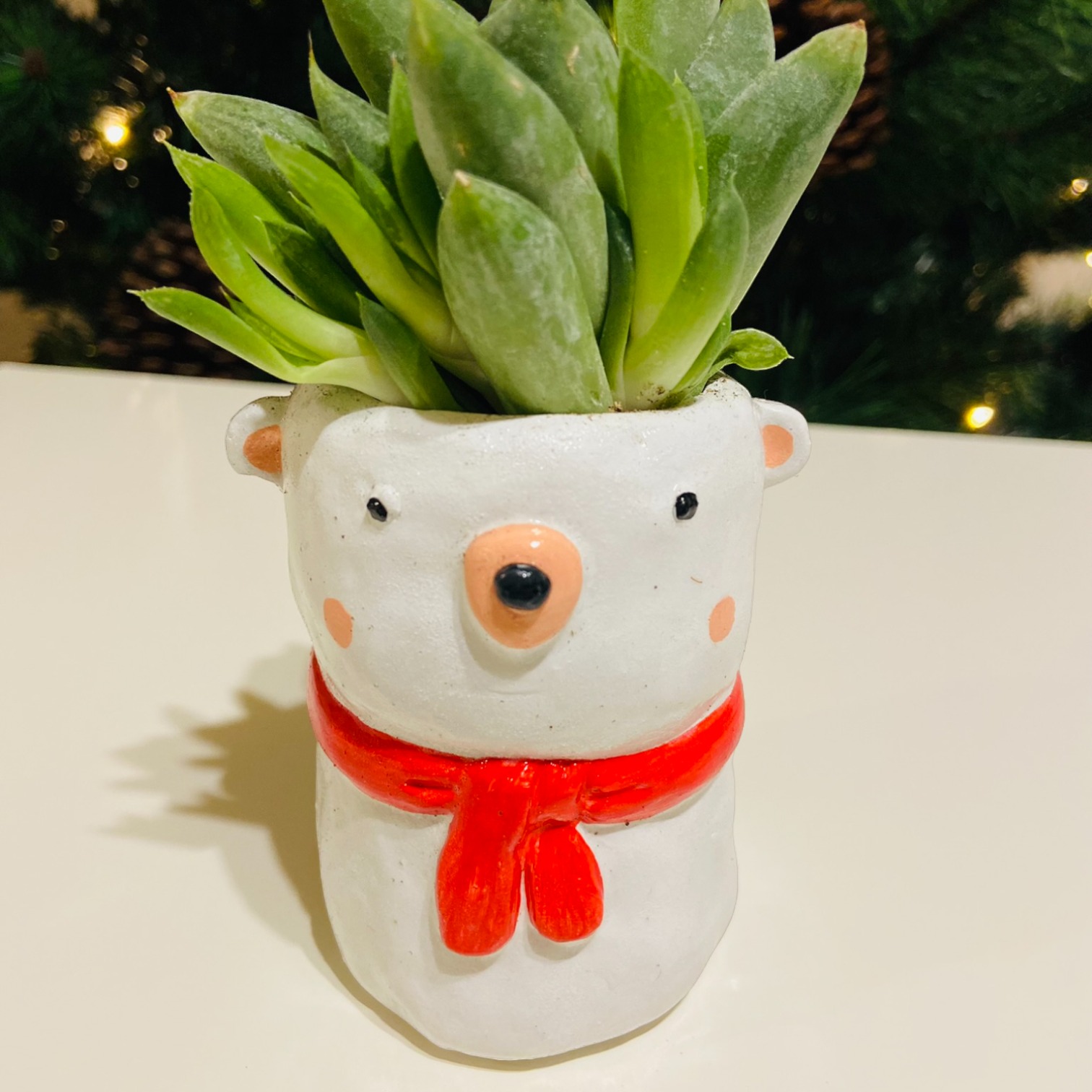 Urs care sta in picioare 1