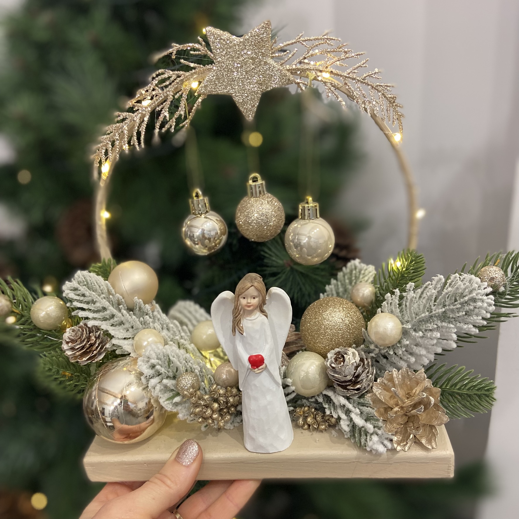 CR19 ingeras portelan 1