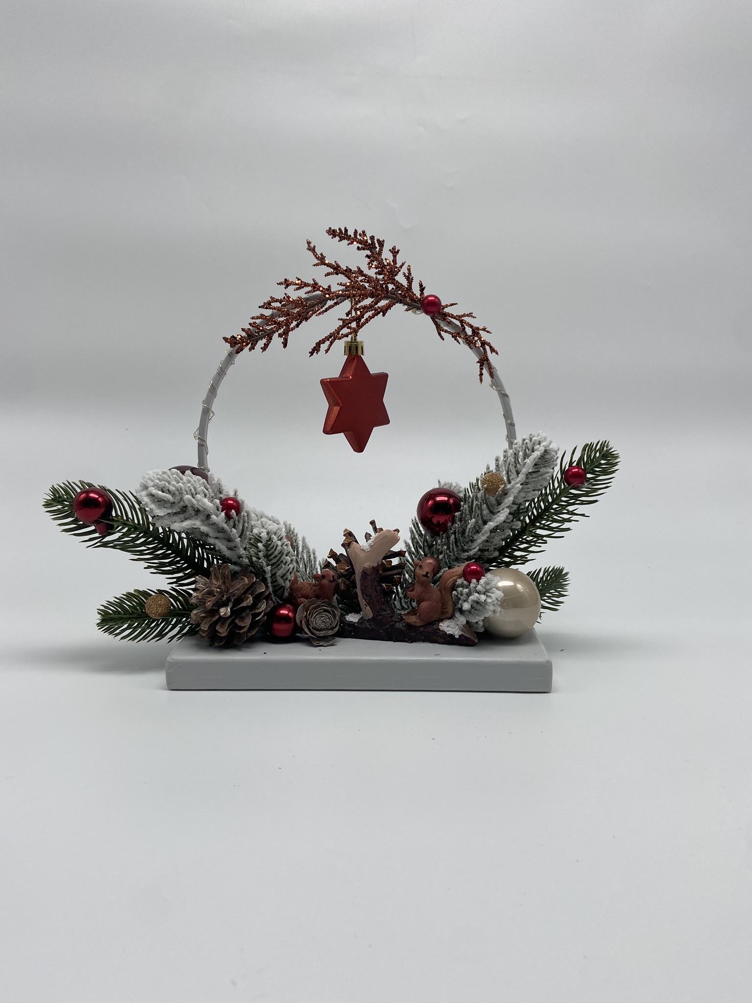 CR19 veverite 5 CR19 veverite 5