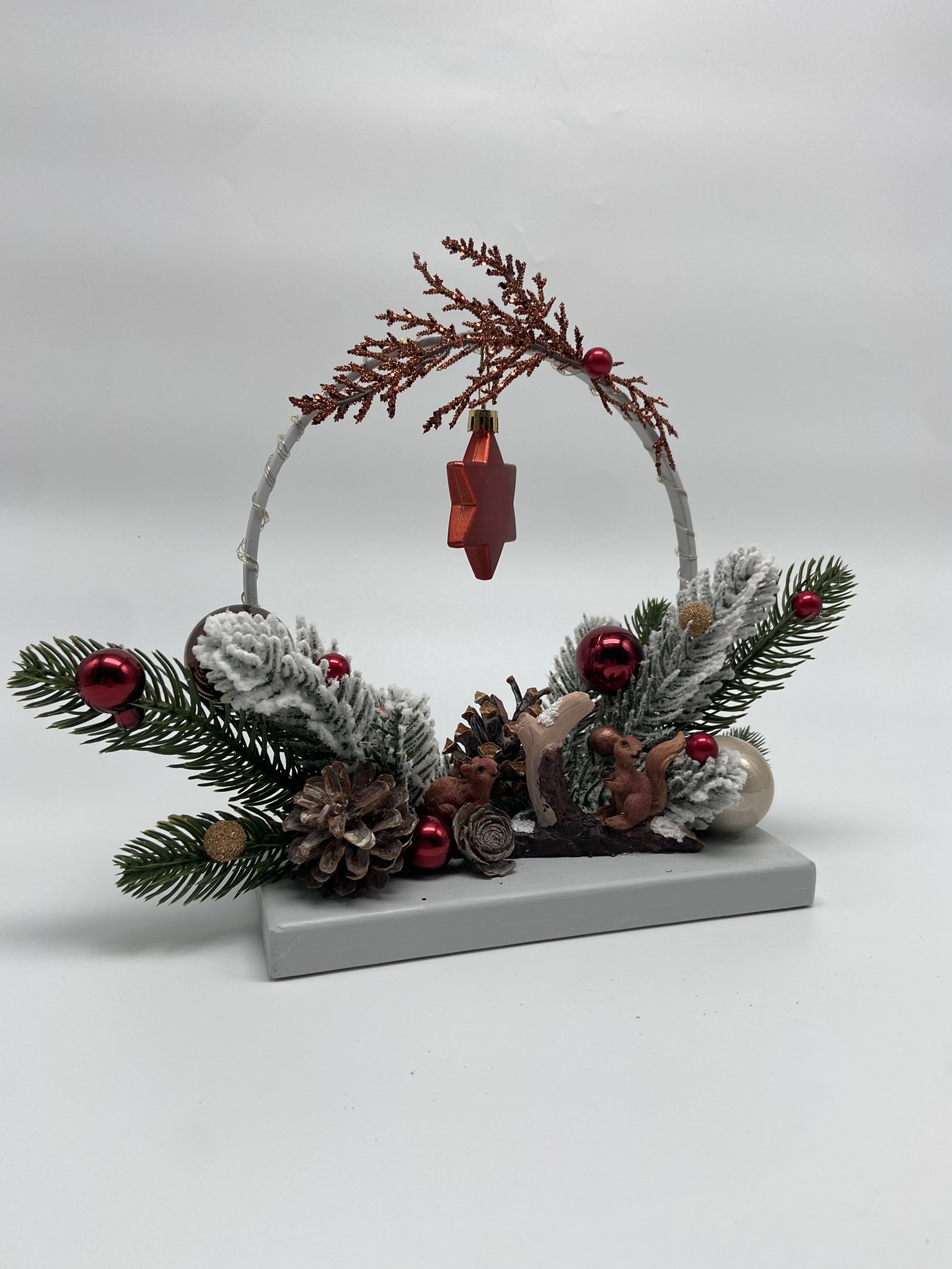 CR19 veverite 6 CR19 veverite 6