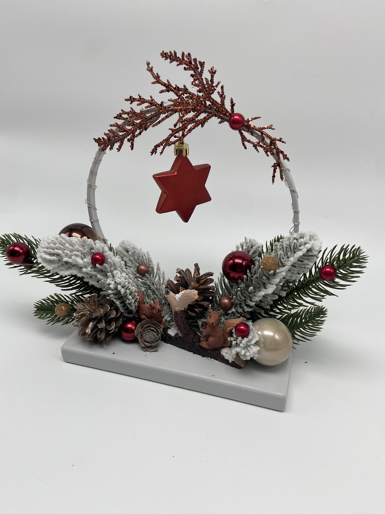 CR19 veverite 7 CR19 veverite 7