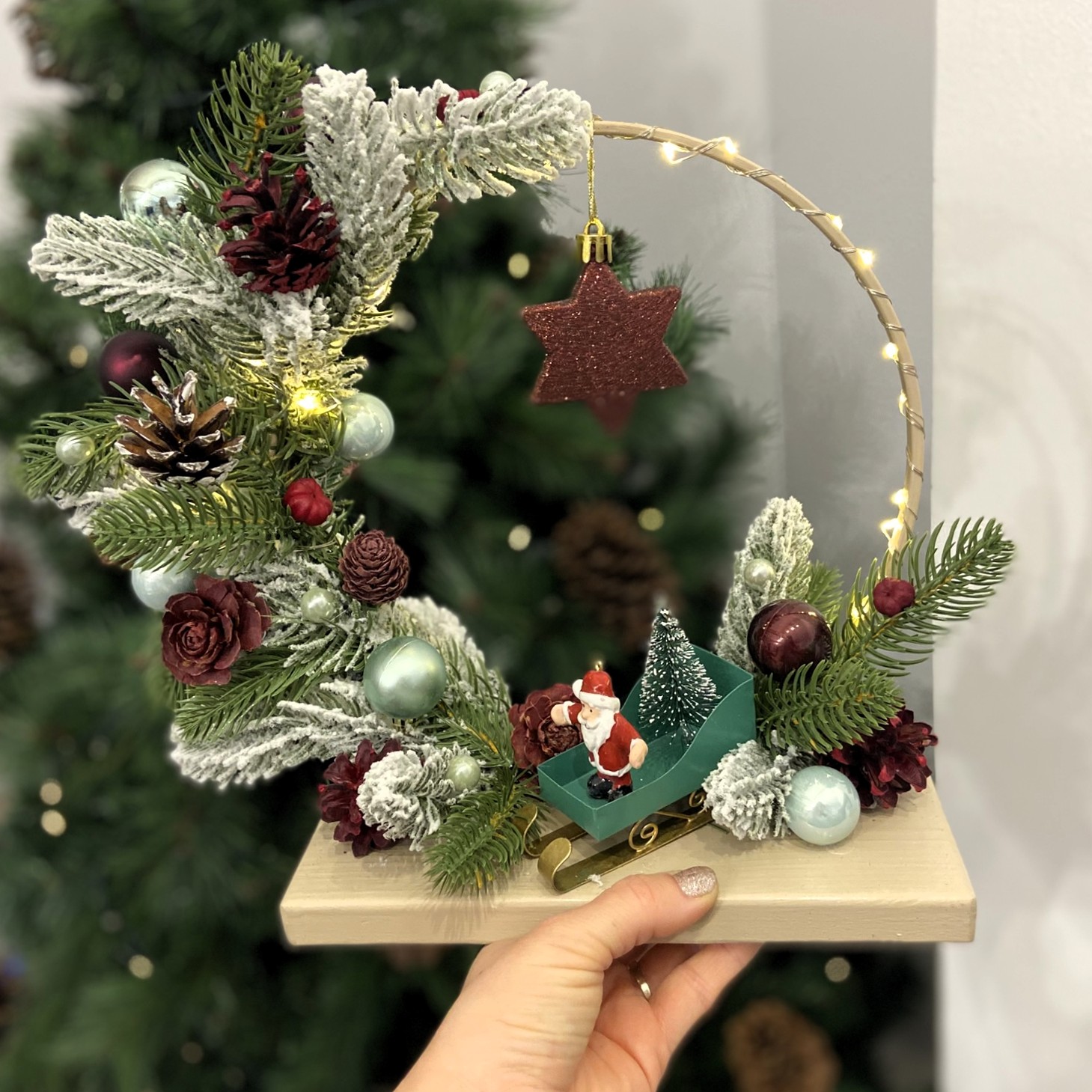 CR22 Sanie Mos Craciun 1