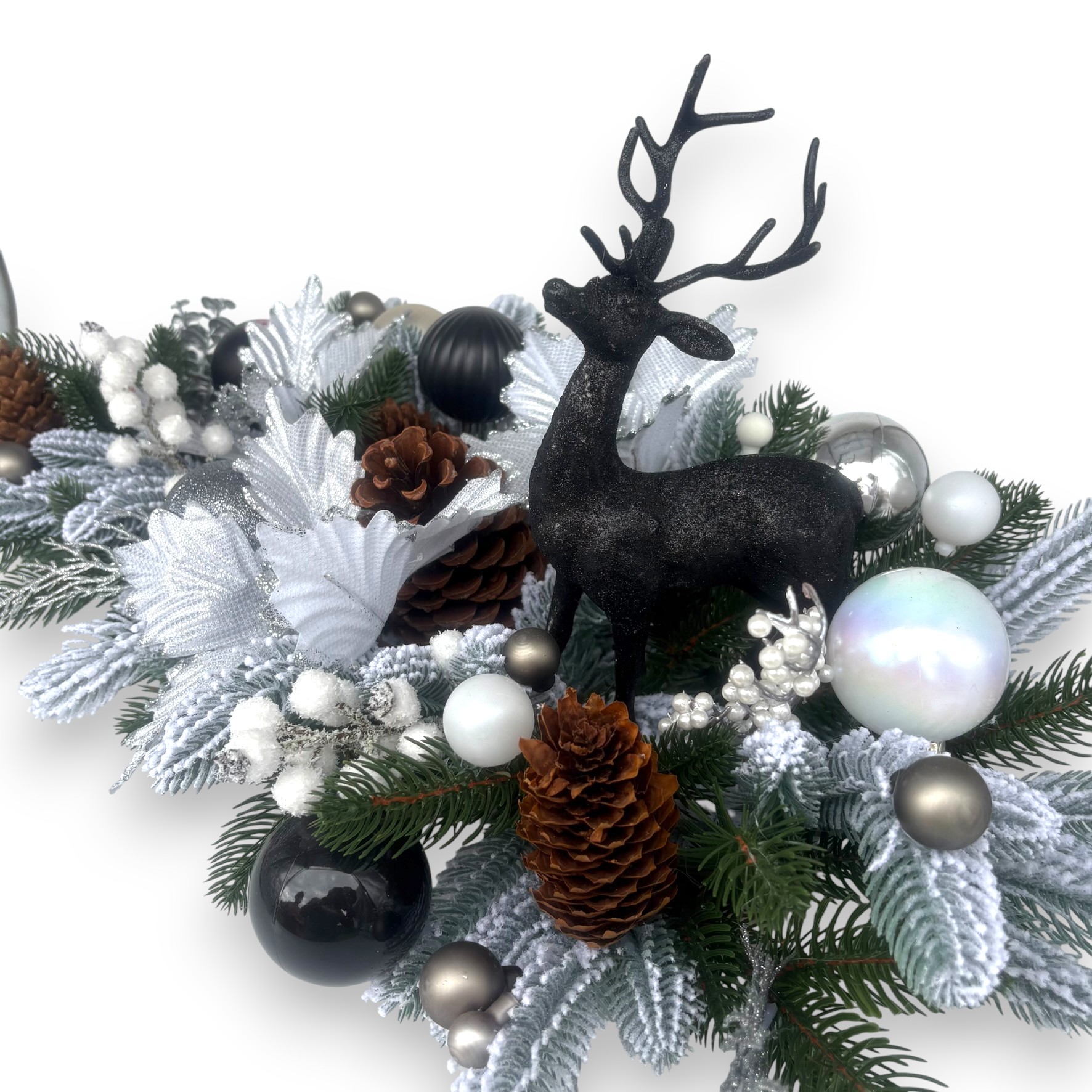 IMG 0626 Photoroom IMG 0626 Photoroom