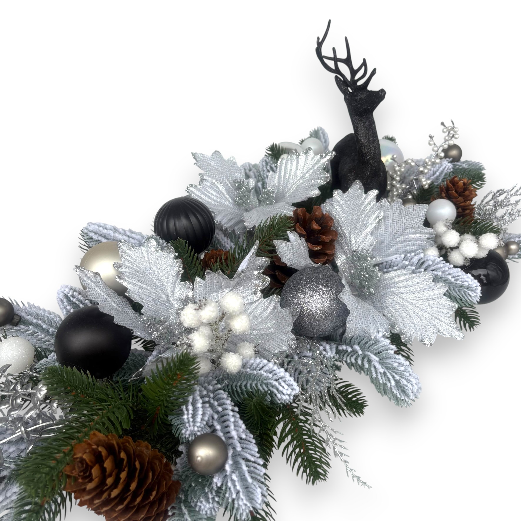 IMG 0627 Photoroom IMG 0627 Photoroom