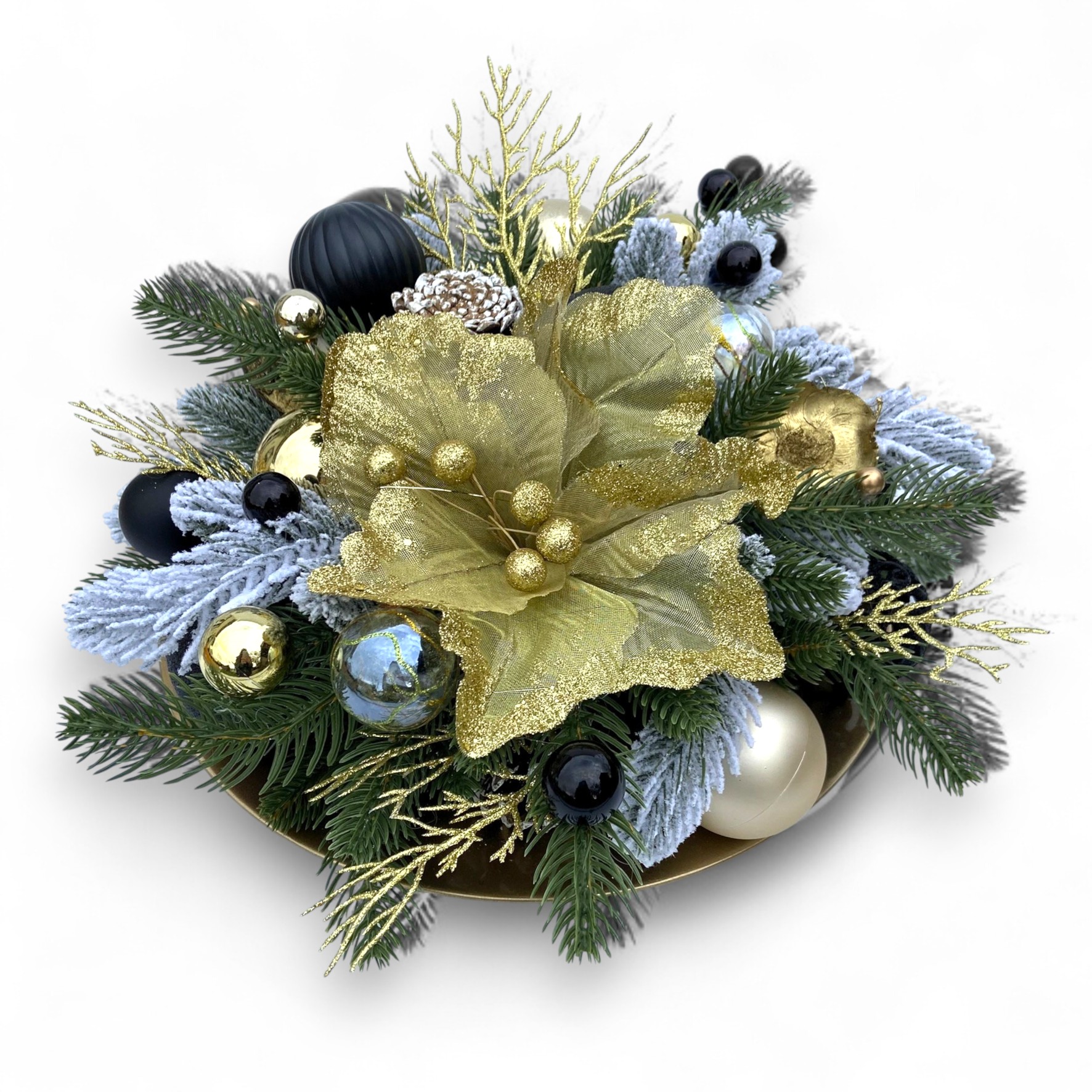 IMG 4147 Photoroom IMG 4147 Photoroom