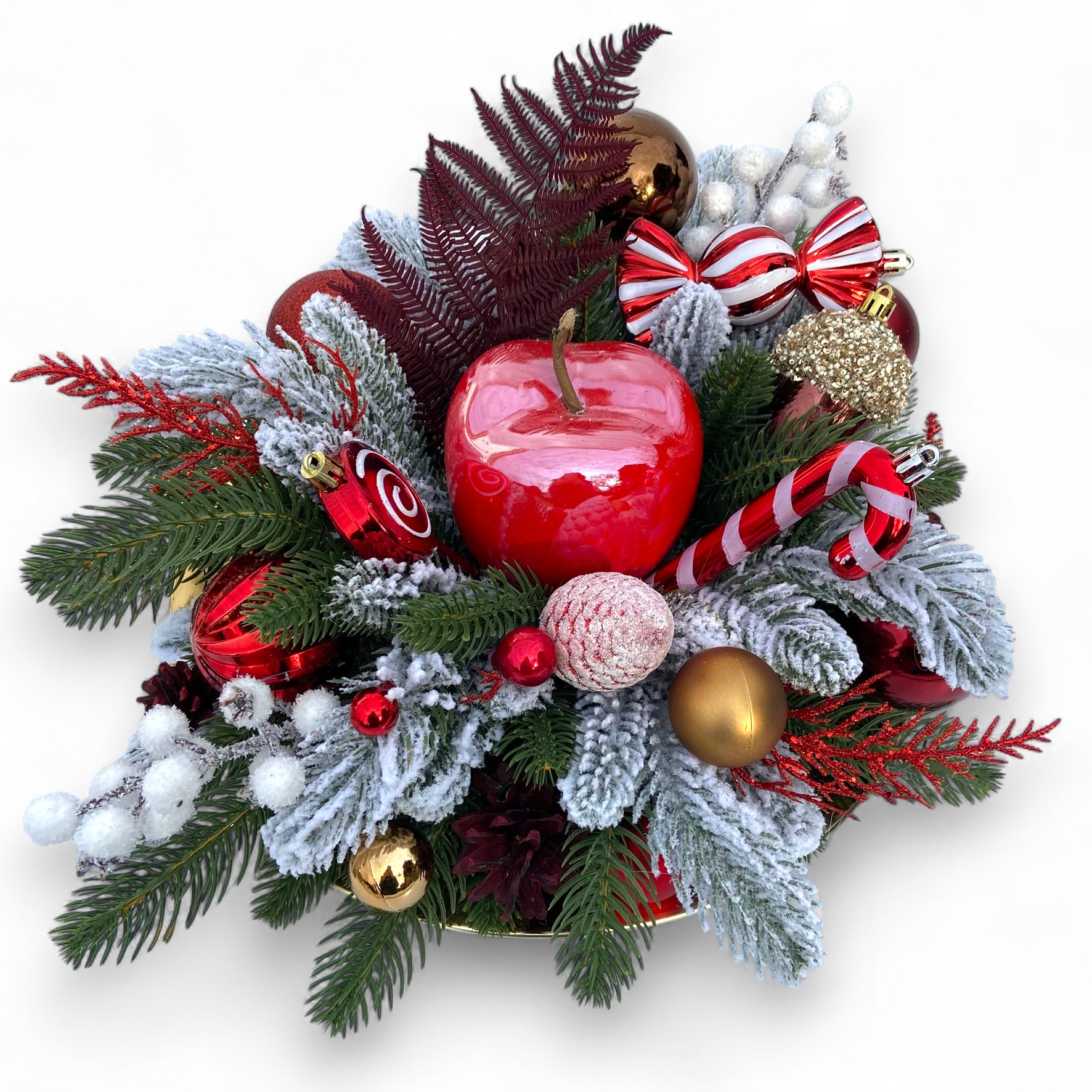 IMG 4180 Photoroom IMG 4180 Photoroom