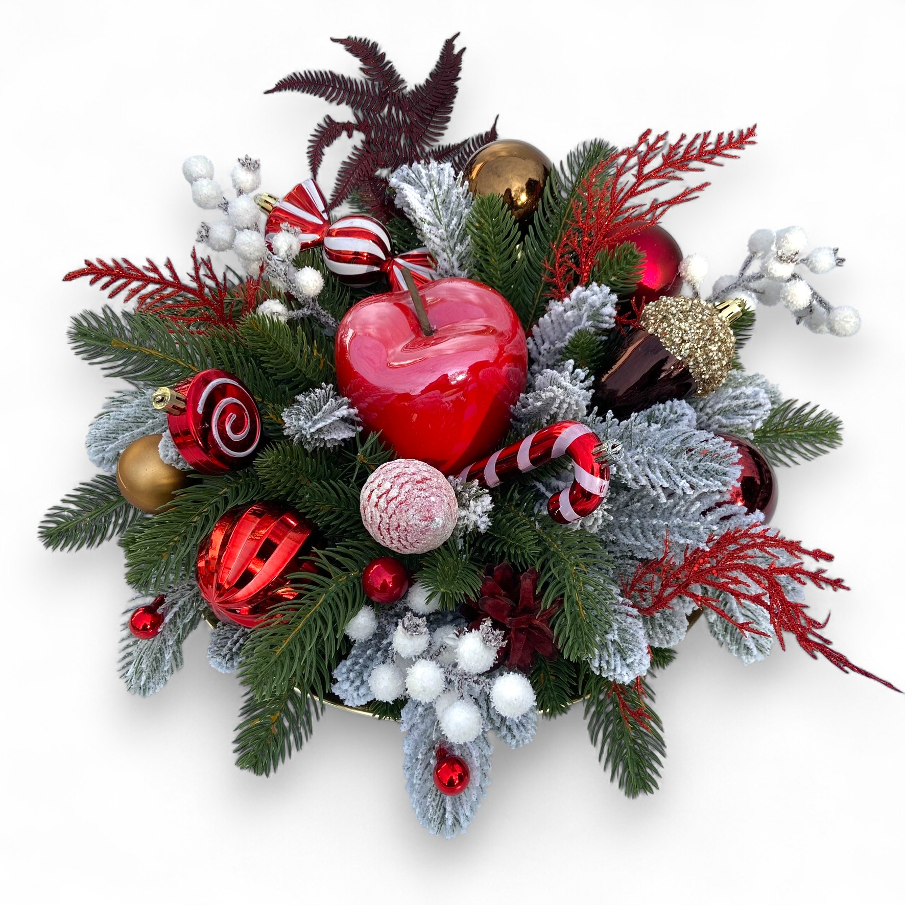 IMG 4181 Photoroom IMG 4181 Photoroom