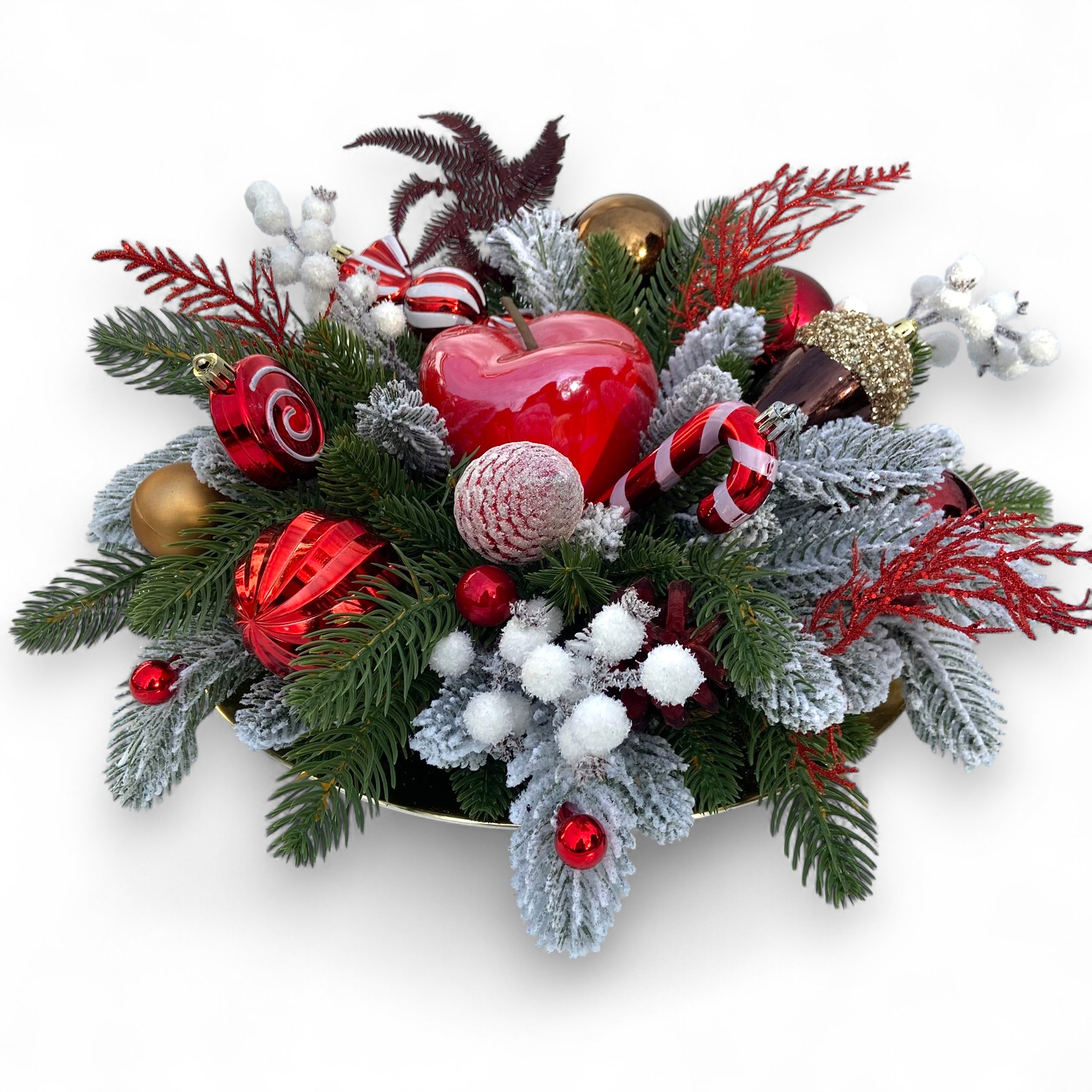 IMG 4182 Photoroom IMG 4182 Photoroom