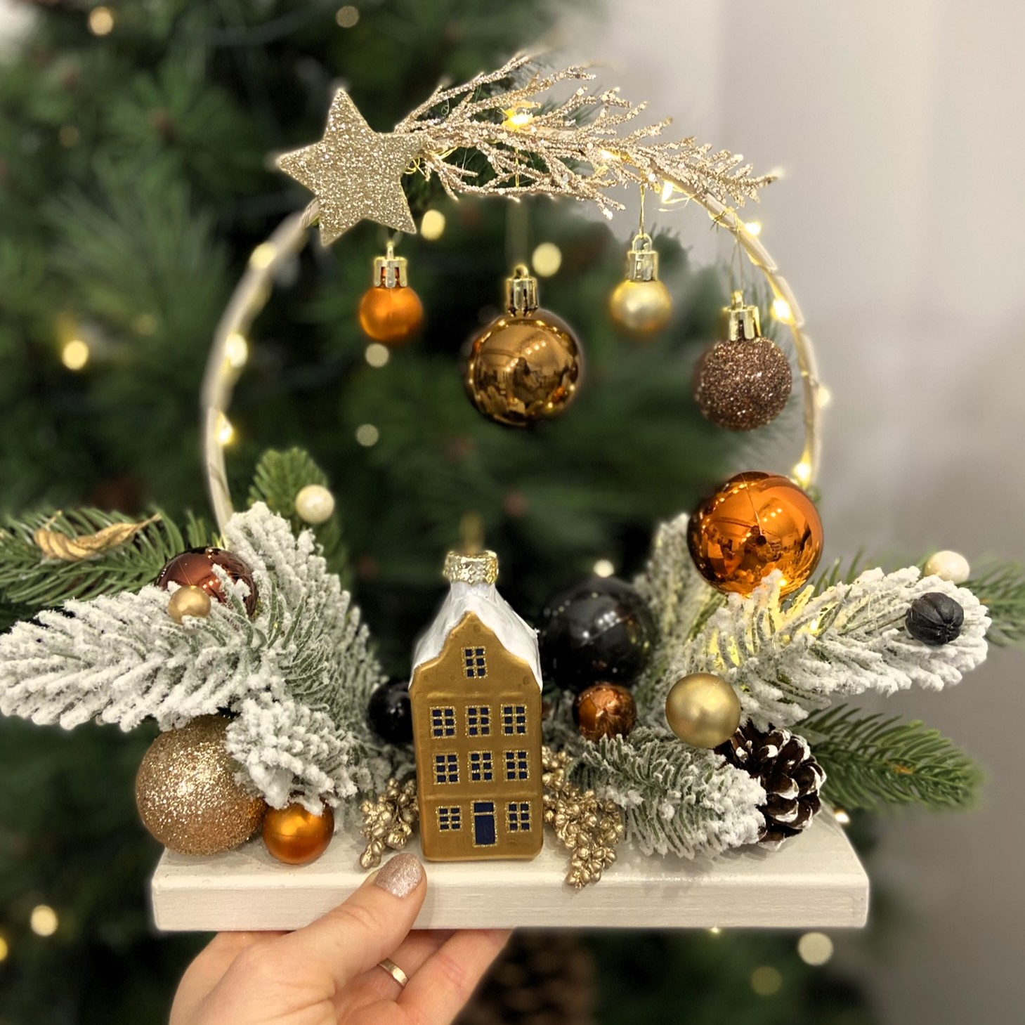 CR19 casuta aramiu 1