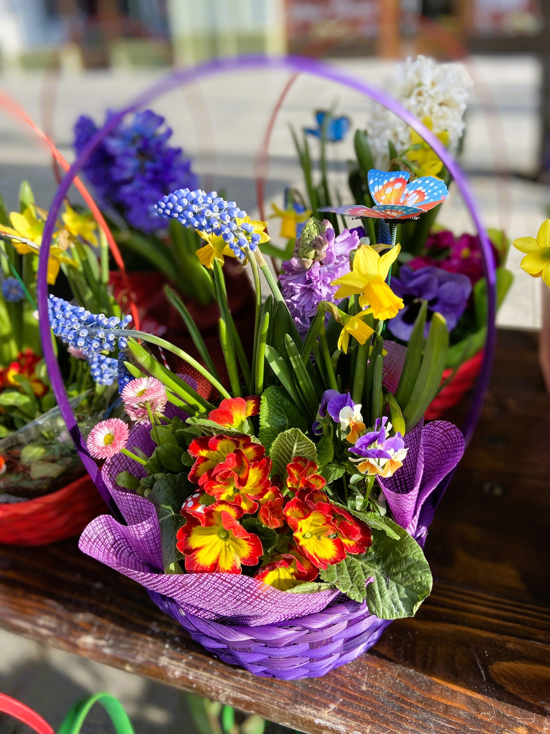 Cos rotund colorat (6)