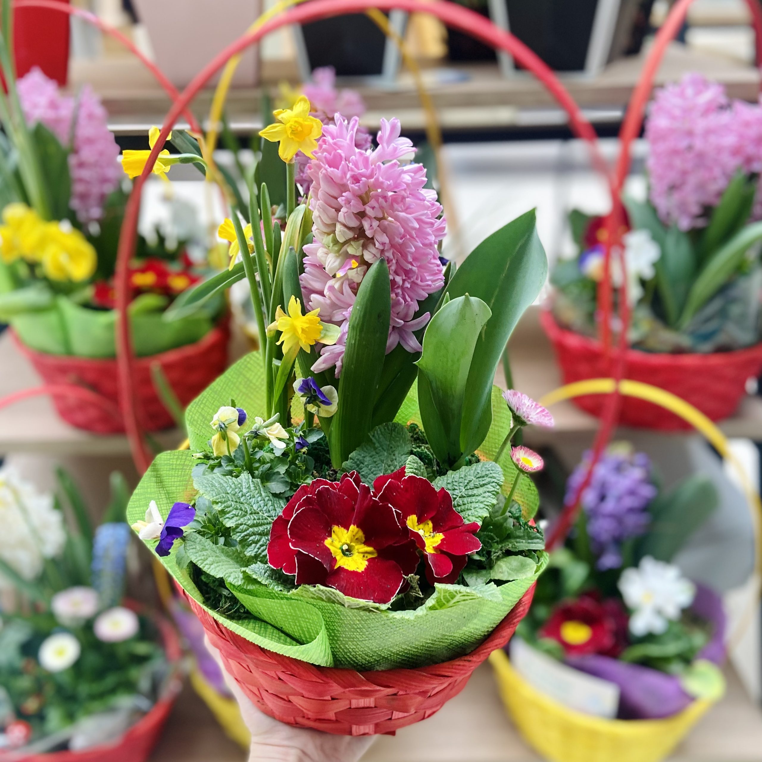 Cos rotund colorat (7)